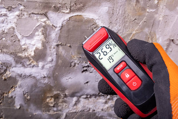 Best Home Mold Removal  in Wedgefield, FL
