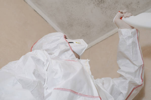 Best Residential Mold Removal  in Wedgefield, FL