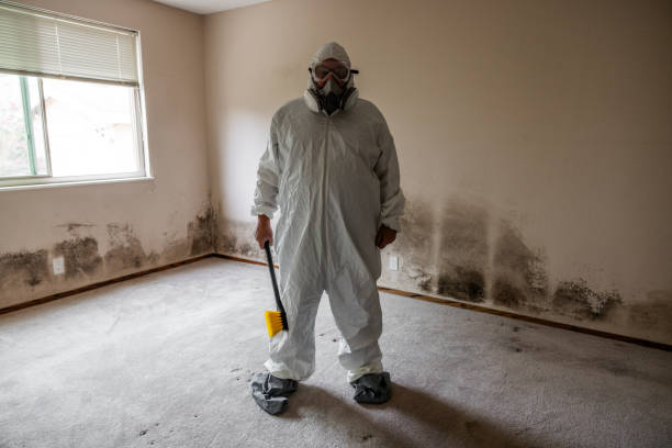 Best Residential Mold Removal  in Wedgefield, FL